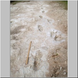 102_6238 (2013-08-08)m.JPG